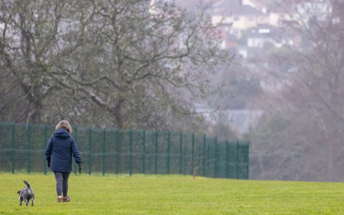A dog walker on Cotham School's playing field at Stoke Lodge in Bristol, on the morning of Thursday, January 15, 2026