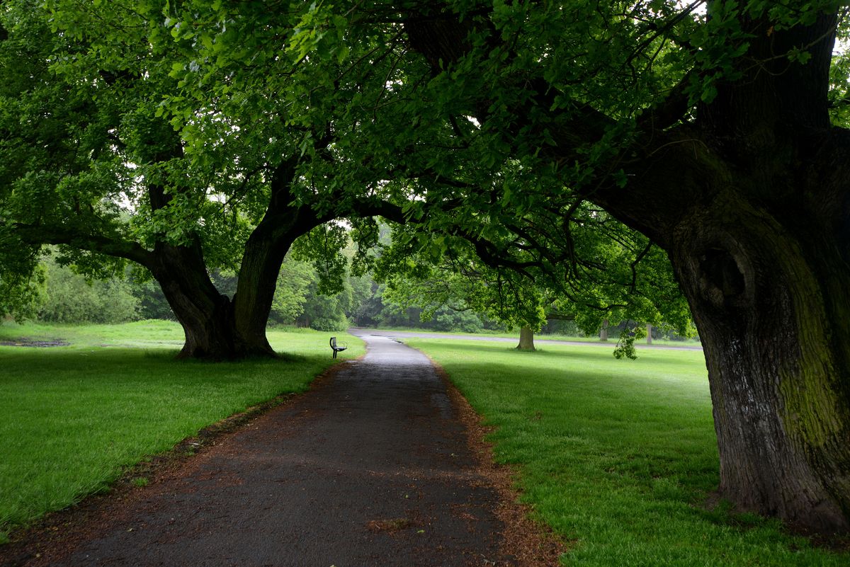 Residents living near Wythenshawe Park have been divided on the space being turned into a 'private events venue'