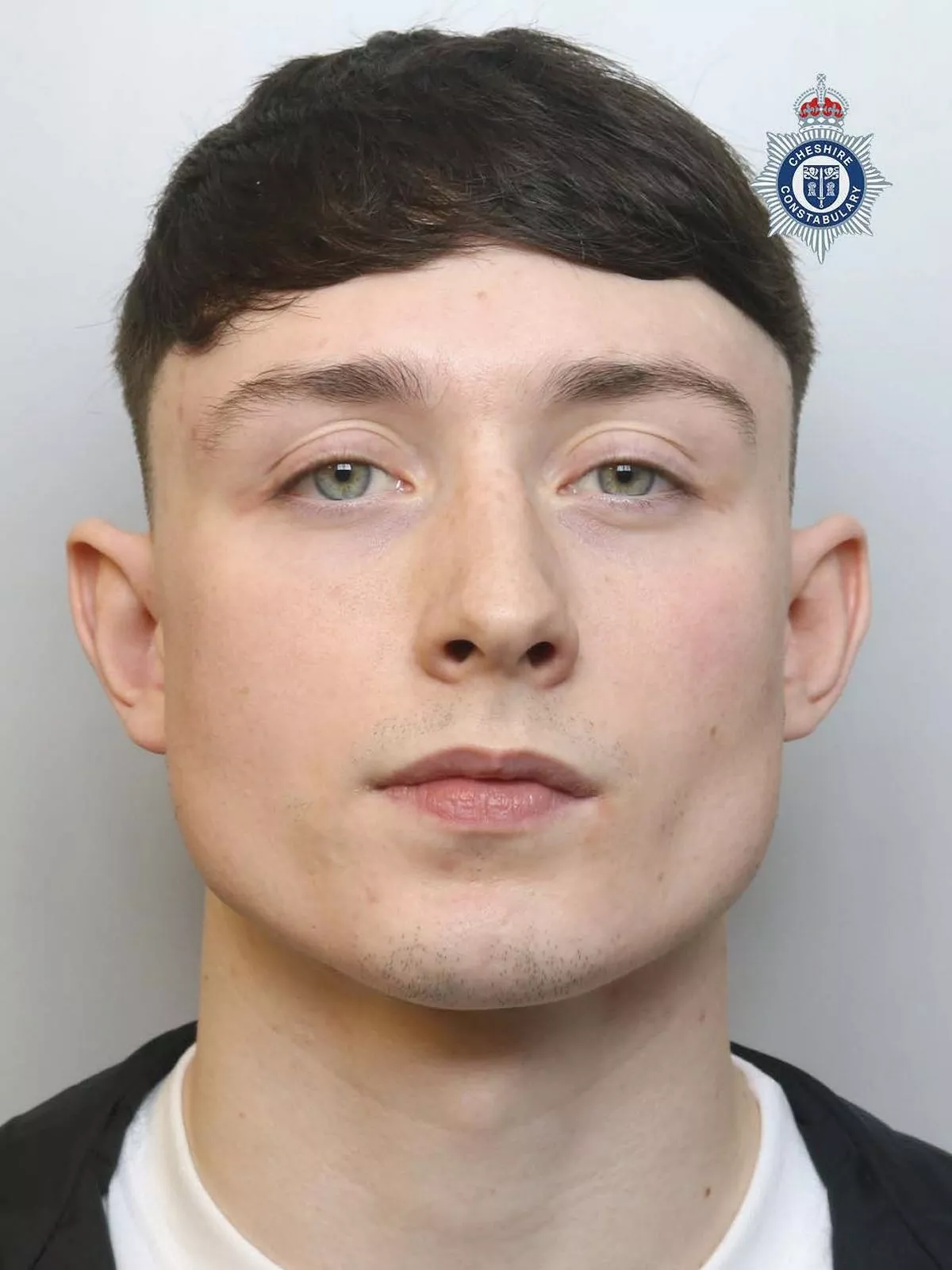 Mugshot of a white man in his 20s with dark brown hair.