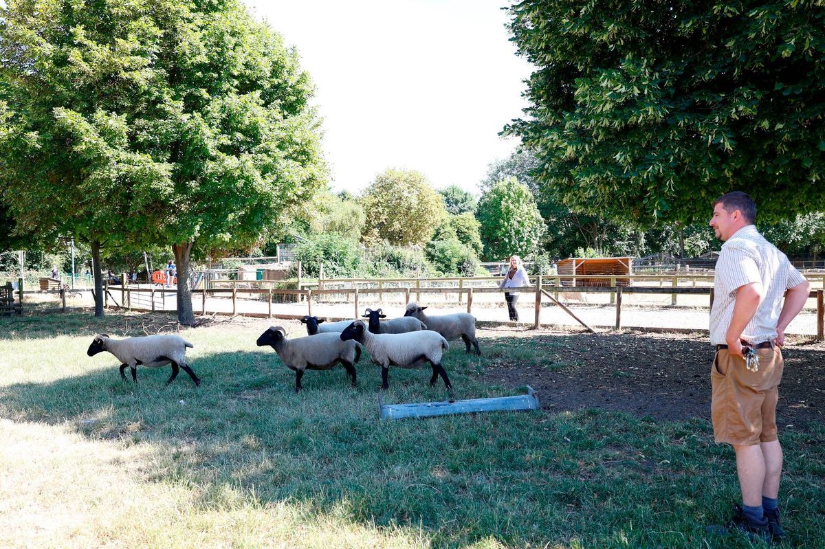 Mudchute Park and Farm in the Isle of Dogs in east London