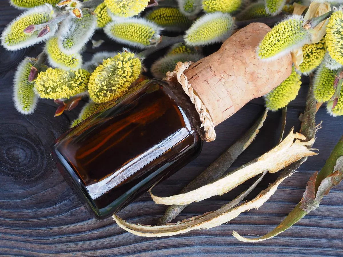 Aspirin is derived from willow