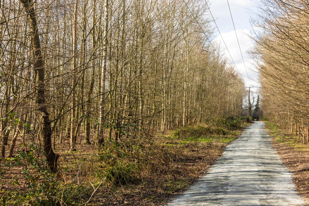 A shot of a green space in Potters Bar