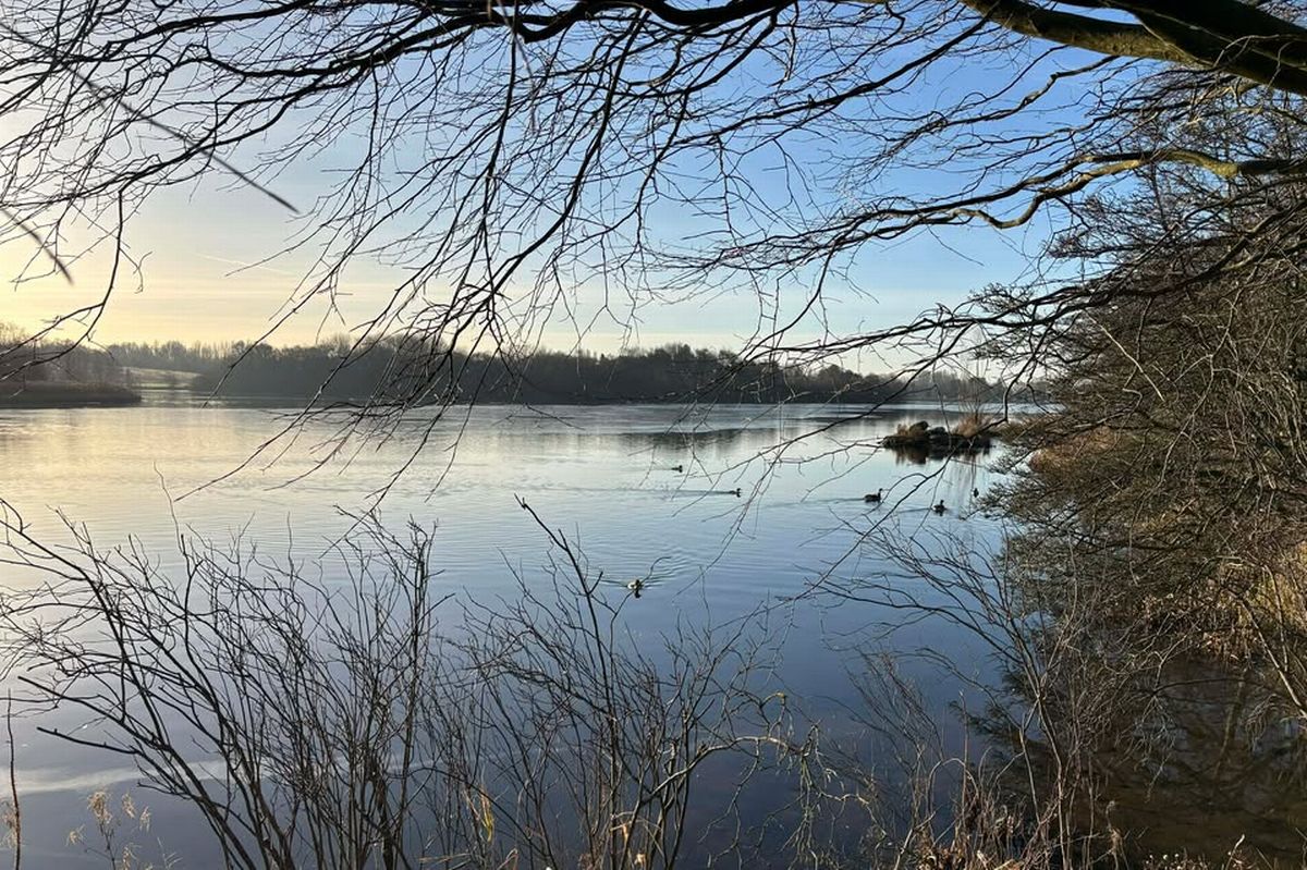 Hogganfield Loch is my favourite walking spots in Glasgow