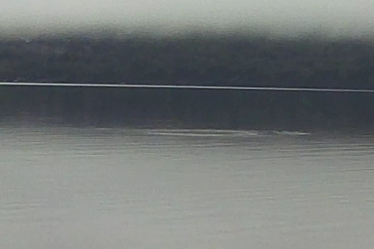 'I was hoping to get pictures of something unusual and I certainly have'