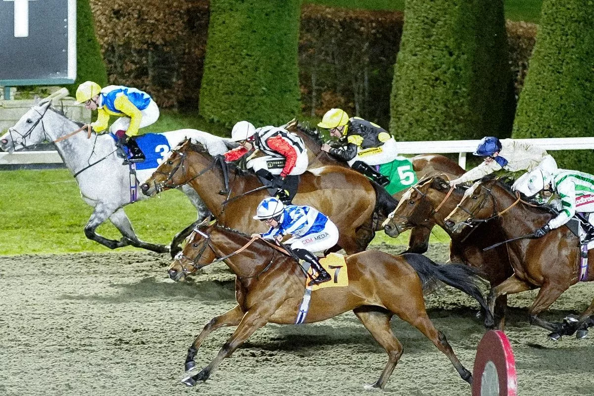 The Lost King (nearest) gets up to win a furious finish at Kempton 
