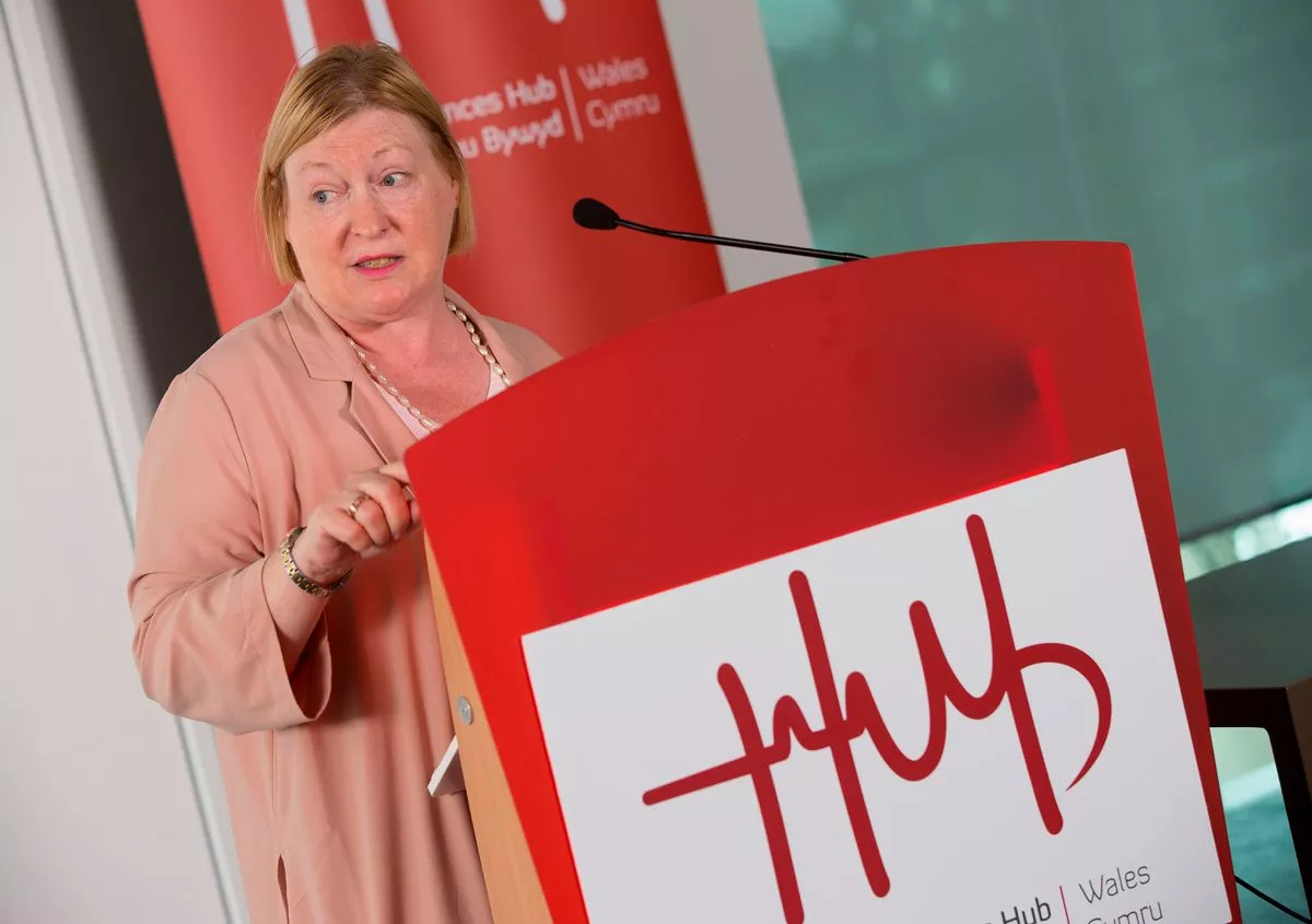 Former Welsh Government minister Edwina Hart