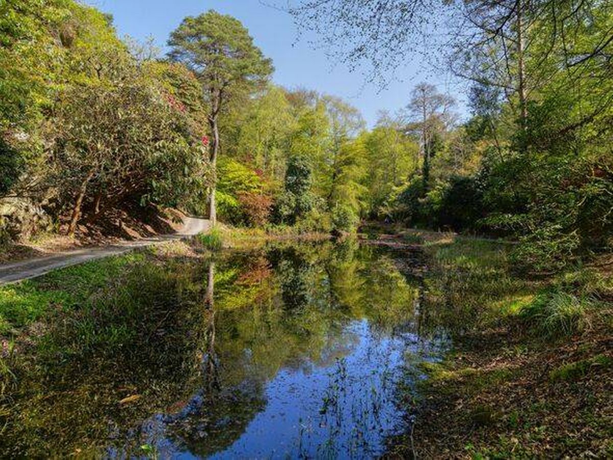 Lake and ornamental garden in Portmeirion