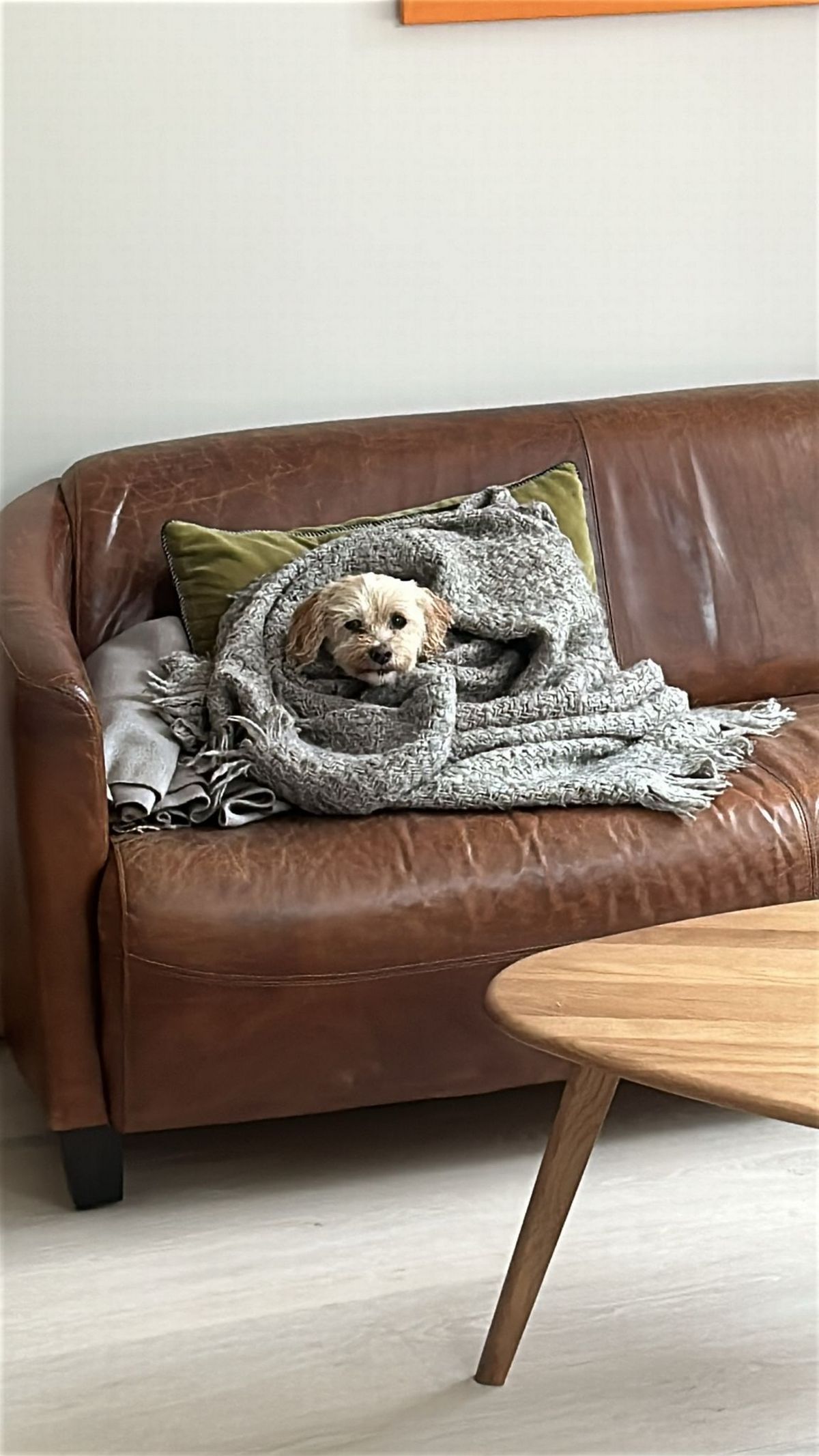 Lulu had to take a boat to get to London