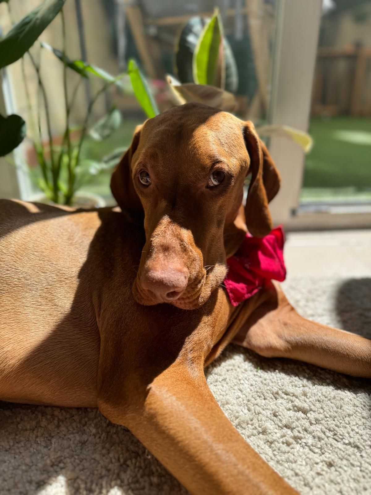 Sasha is four and can be a little anxious