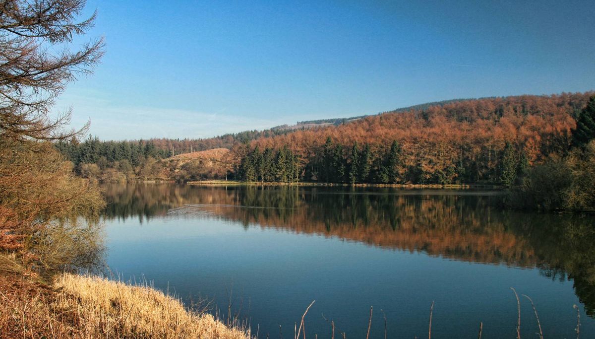 Macclesfield Forest, Cheshire