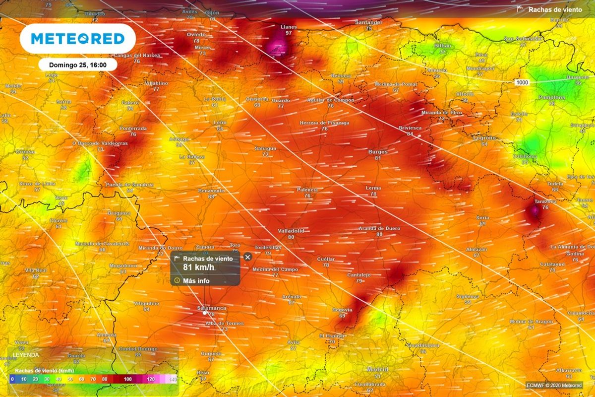 Strong winds are expected across Spain as Storm Ingrid continues to bring disruptive weather to Europe