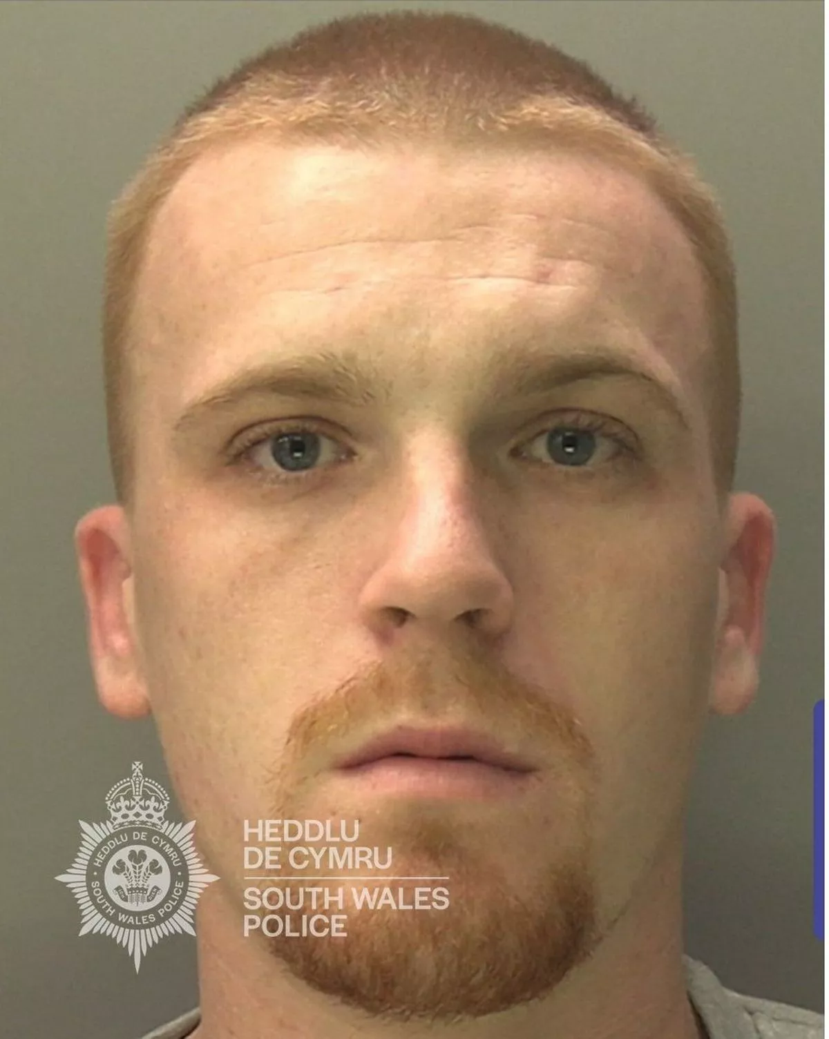 Custody photo of Tony Mann, 28, who has shaved ginger hair, a giner goatee beard and is wearing a grey tracksuit.