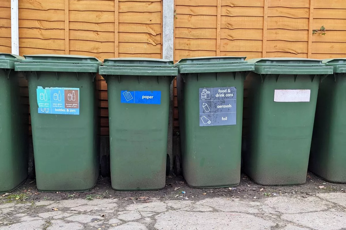 Various residential recycling bins in a row