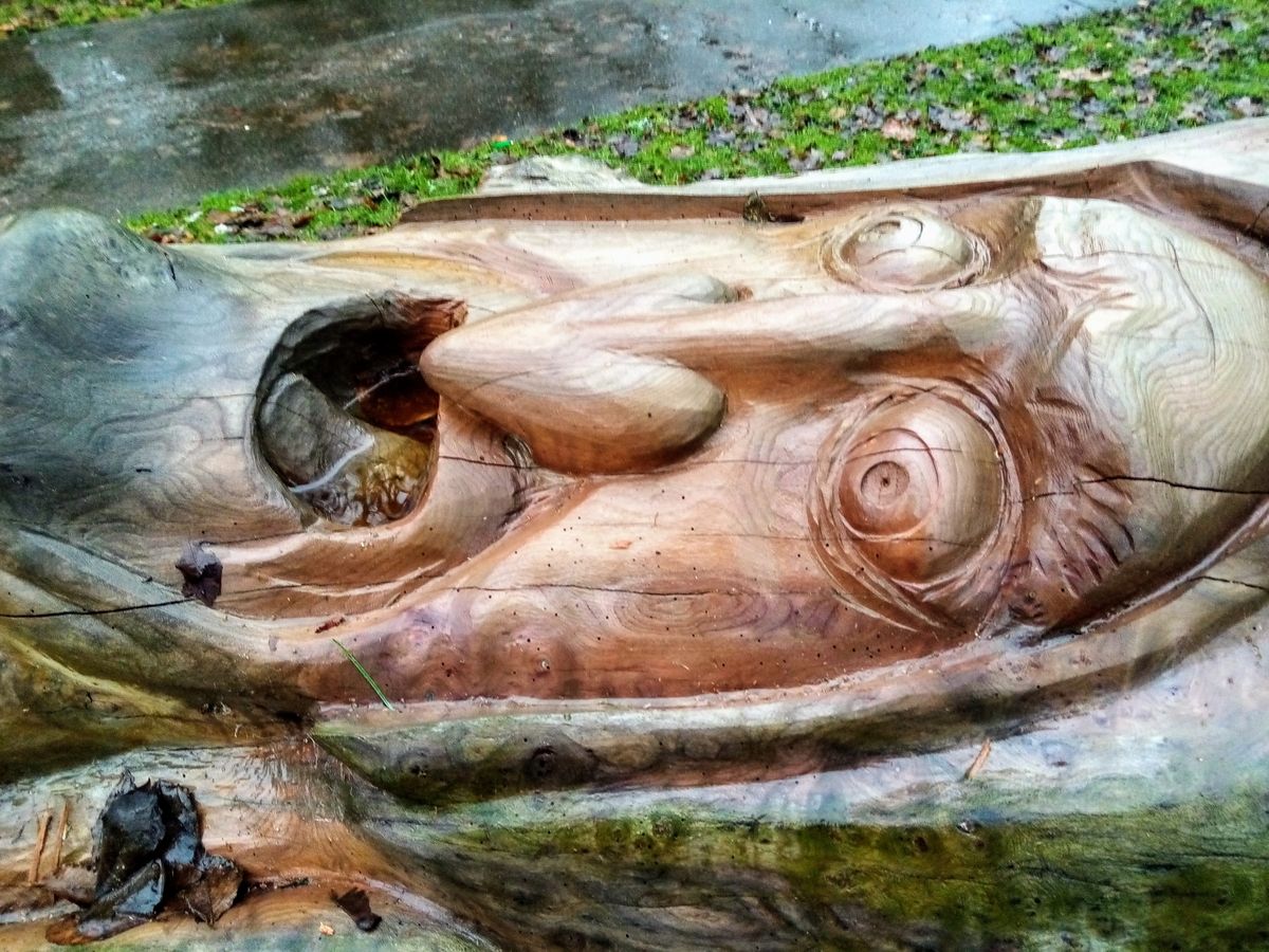 Mysterious faces are carved into the wood