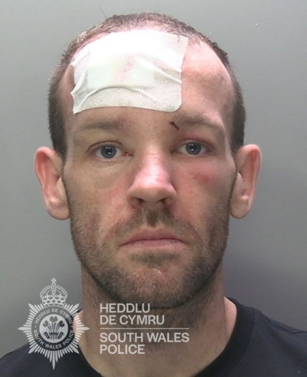 A police mugshot of Jordan Evans, a white man in his mid-30s with short dark hair and a large white plaster or wound dressing on his forehead