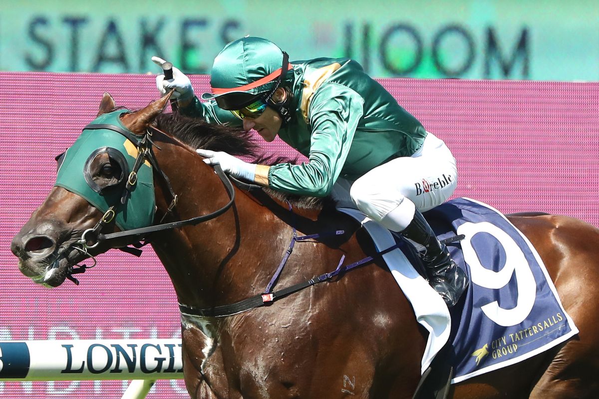 Cannonball: broke his left front leg while contesting a Group 2 race
