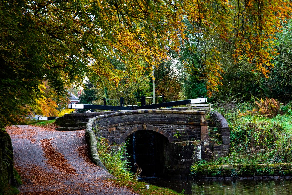 The Marple Locks