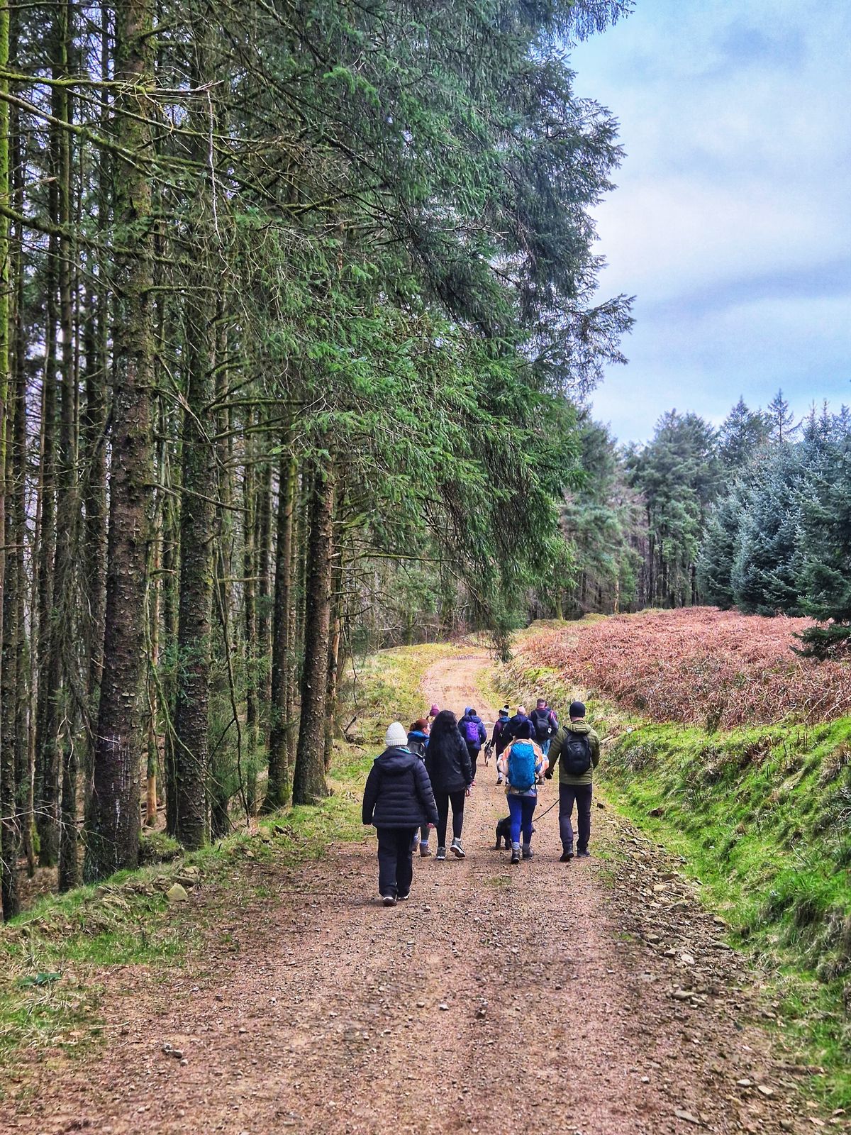 If you download the AllTrails app, you can easily follow this route 