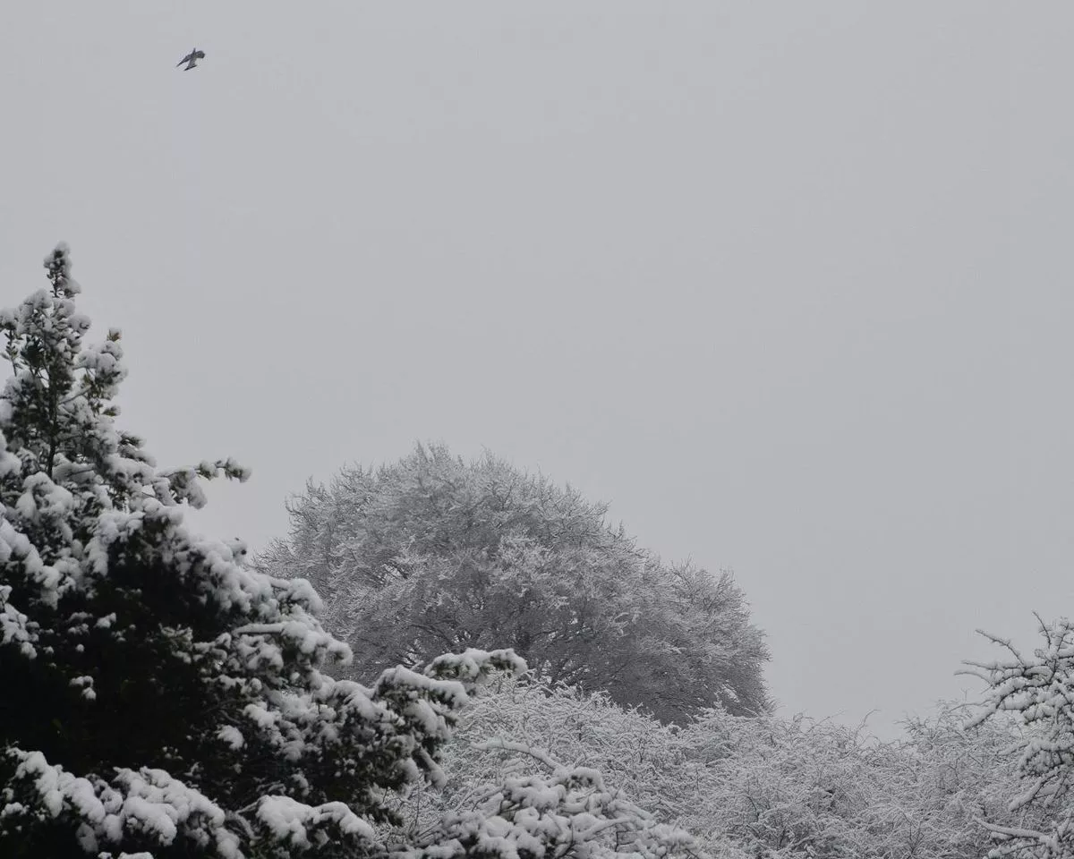 Snow is set to fall on Birmingham, the Black Country and Staffordshire on Sunday