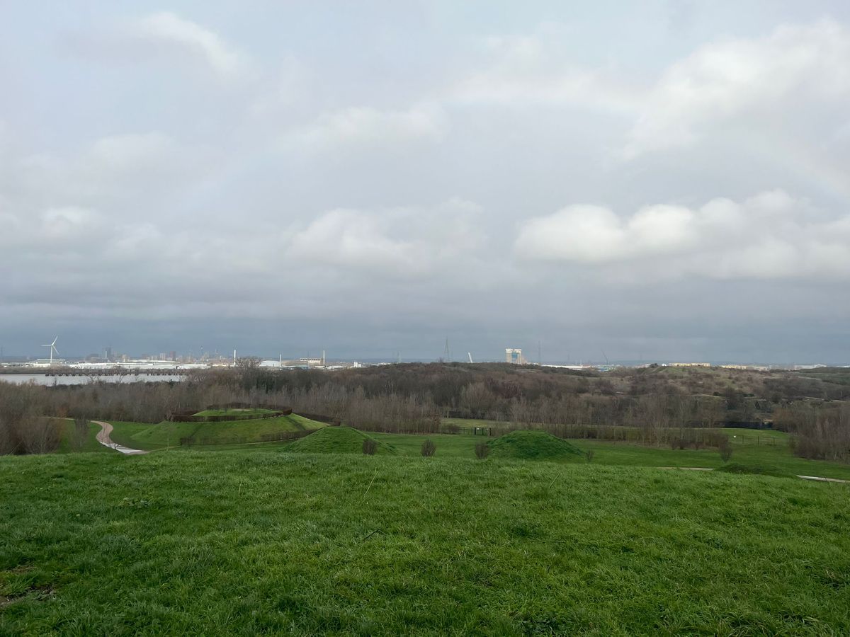 A wide view of green fields and trees