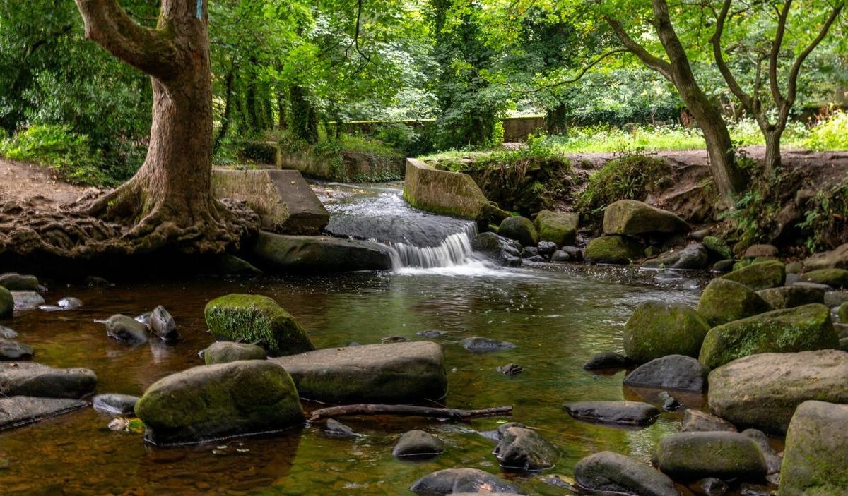 Bradford Pennine Gateway National Nature Reserve in West Yorkshire