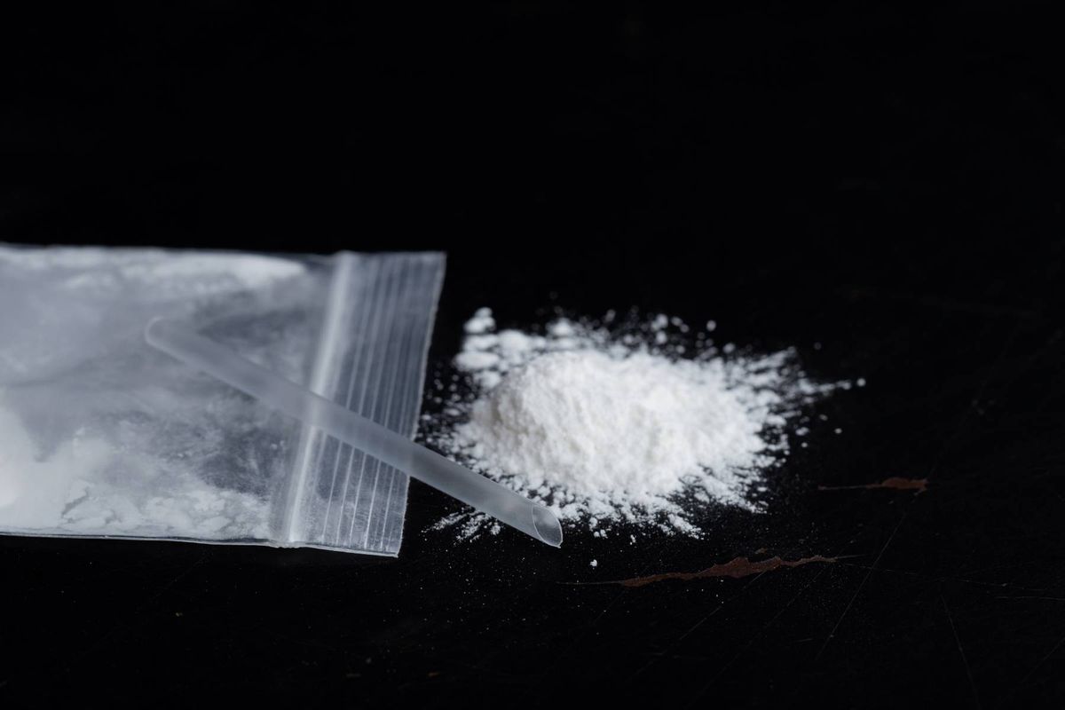 Powder cocaine was the next most popular drug and made up 10% of all seizures