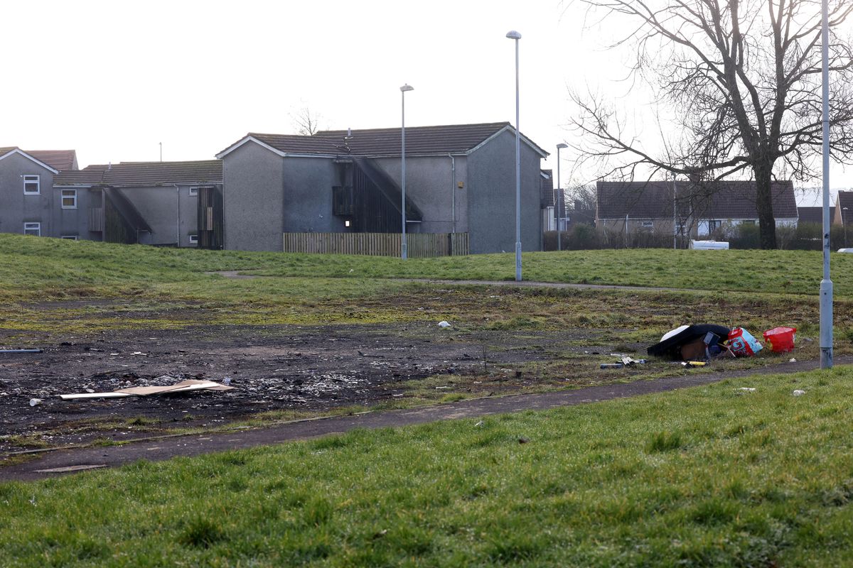 A field, with some rubbish bags visible