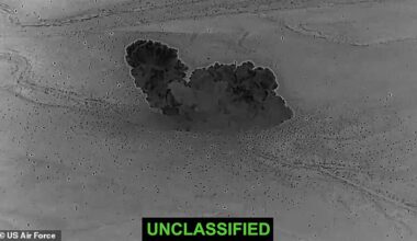 The US previously struck Syria on December 19 (pictured). US forces struck again on Saturday, but no information has been released.