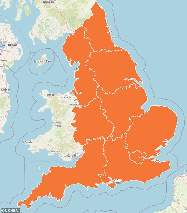 The UK Health Security Agency has issued amber alerts covering all of England - warning that elderly and vulnerable people are at risk of dying in the cold condition