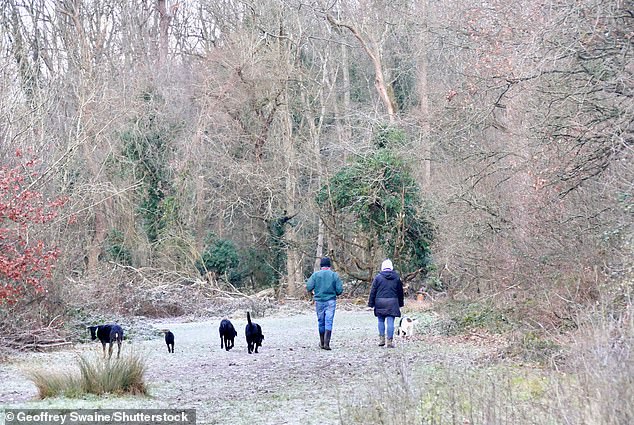 A frosty New Year's Day walk in Dunsden, Oxfordshire. Chilly conditions are expected to continue throughout this week