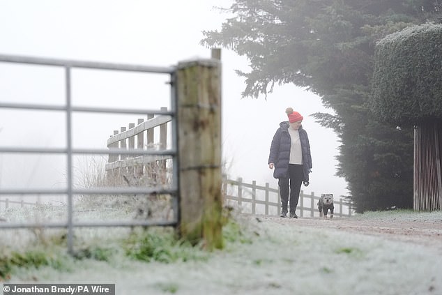 A woman walks her dog in Touchen End, Berkshire. Temperatures will drop further as 2026 begins, with snow and gale force winds set to batter the north of the country