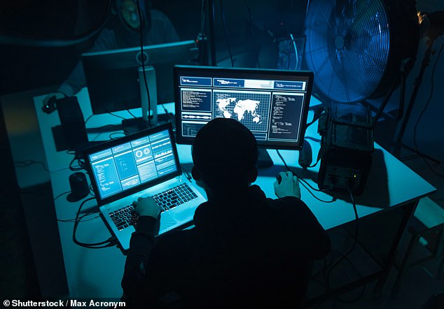 The UK's National Cyber Security Centre (NCSC) has confirmed that China could 'technically' switch off the buses remotely (stock image)