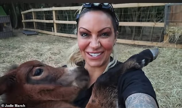 It wasn't until the tragic death of her mother Kristina in September 2020 from cancer that Jodie felt the push she needed to open Fripps Farm