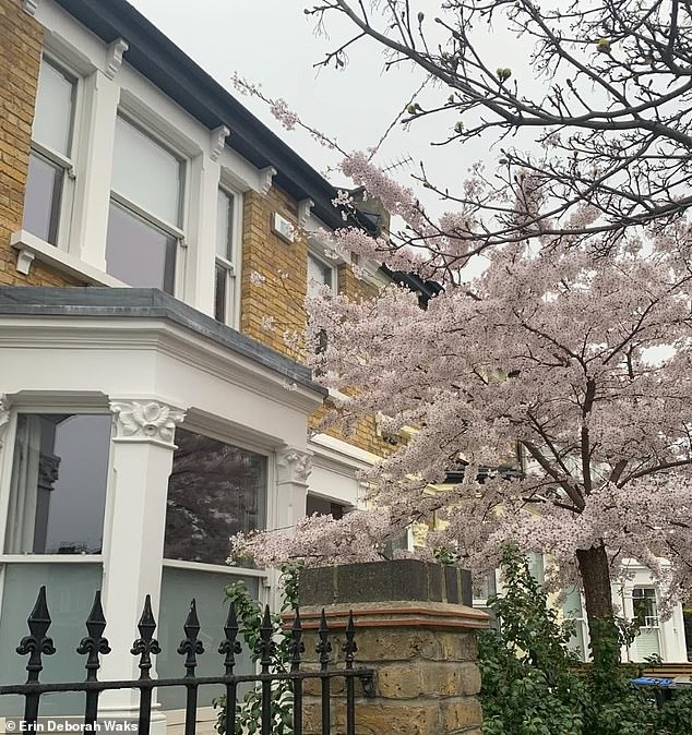 A walk through Queen's Park is a fabulous way to spend a Sunday in London