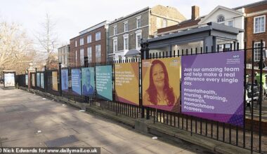 The signs cost the Trusts £345,142.41 in total and were put up at three King's College Hospital sites and at Maudsley Hospital