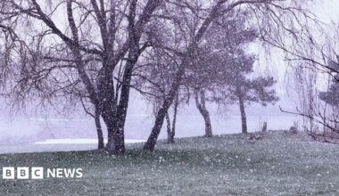 Snow falls by a lake closed to some trees over a green bank in Warrington on a grey day.