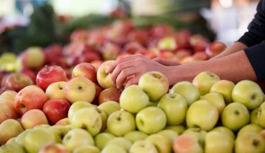 European apples tainted with 'pesticide cocktails', new study claims