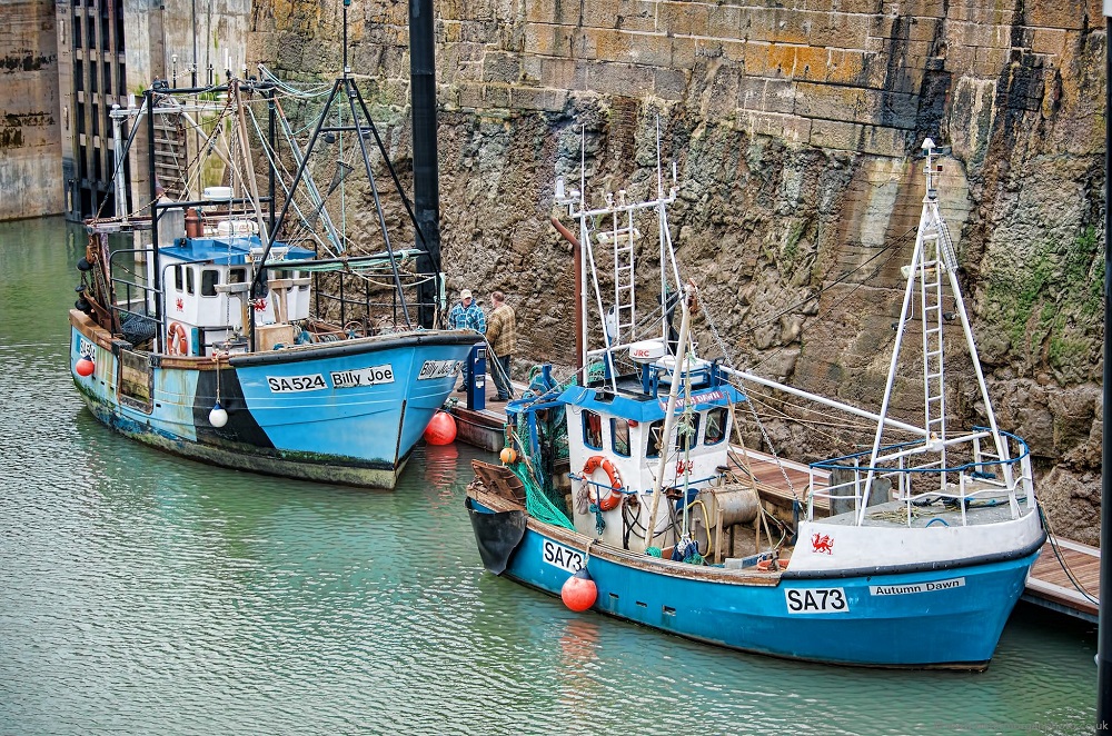Welsh fisheries 'on a stronger footing' as minister hails year of progress