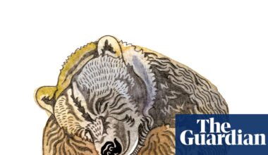 How do bears know when to wake up from their hibernation? The kids’ quiz | Family