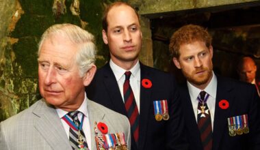 Royal tensions rise as King Charles navigates Prince Harry, William feud
