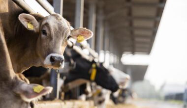 Survey to shape future direction of UK dairy industry