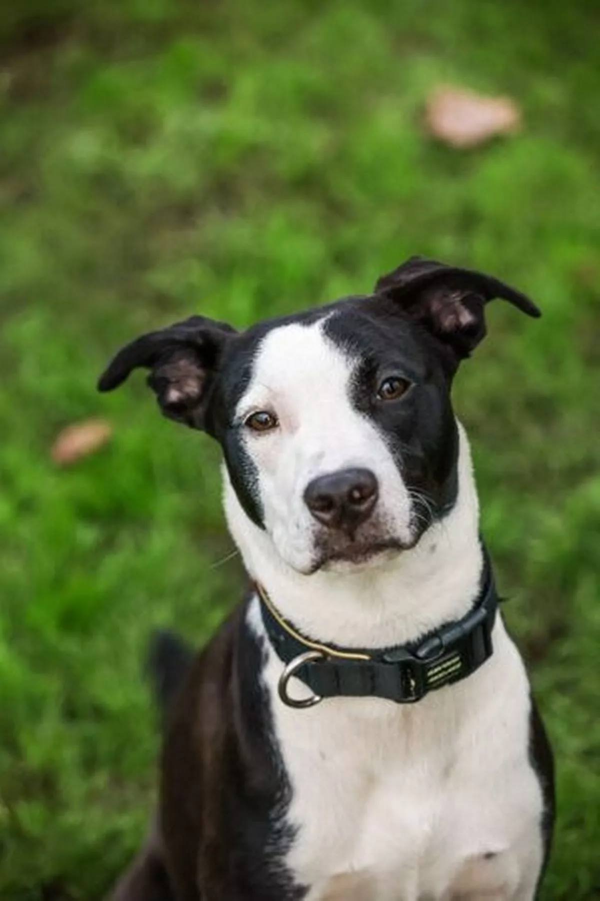 Gizzy now after undergoing life-changing surgery