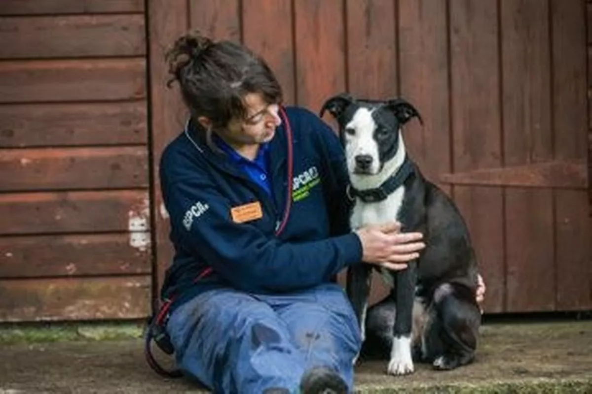 RSPCA inspector Jess and Gizzy
