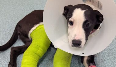 Manchester Evening News