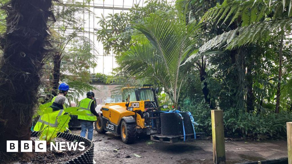 Replanting the urban jungle in restored Edinburgh Botanic's hot houses