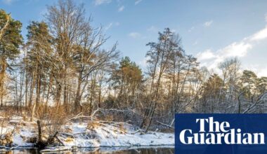 Weather tracker: Arctic air grips Europe as severe winds batter Corsica | Europe