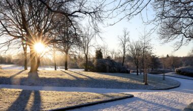 Manchester Evening News