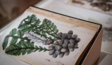 At London’s Kew Gardens, the Dark Side of Botany