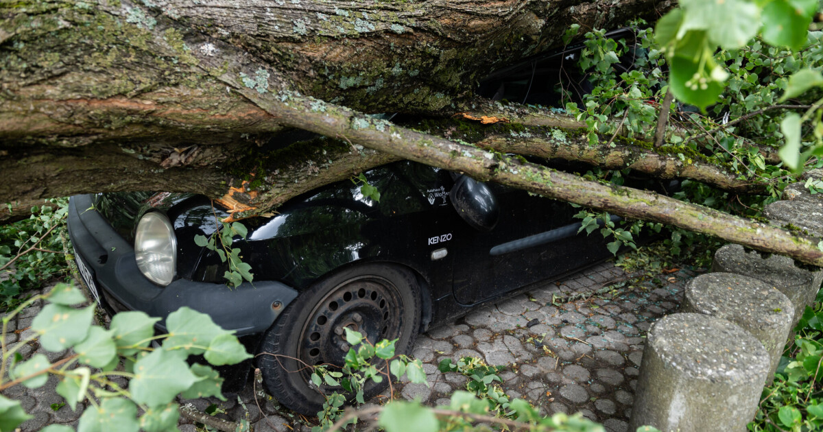 German regions with the greatest climate-related risks • Table.Briefings