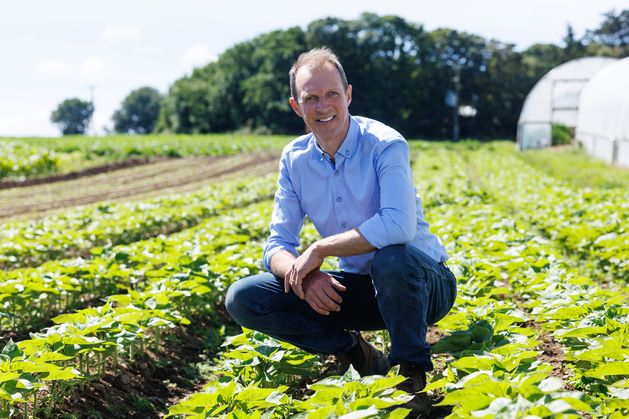 Darragh McCullough: Mercosur could well be the next Brexit – and cause minimal bother to Irish beef